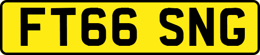 FT66SNG