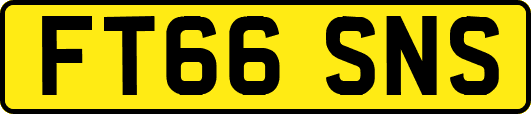 FT66SNS