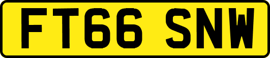 FT66SNW