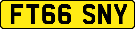 FT66SNY