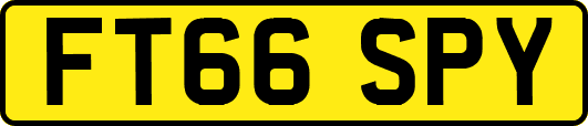 FT66SPY