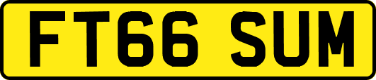 FT66SUM