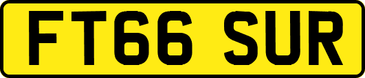 FT66SUR
