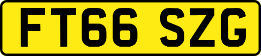 FT66SZG