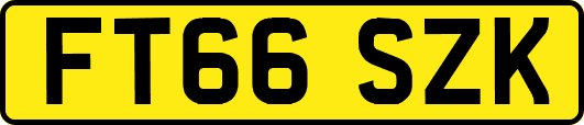 FT66SZK
