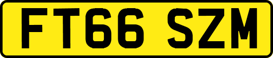 FT66SZM