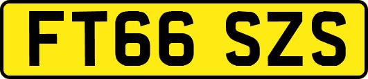 FT66SZS