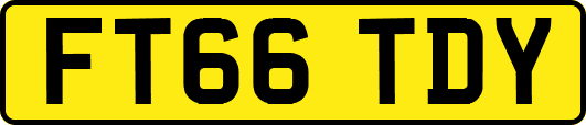 FT66TDY