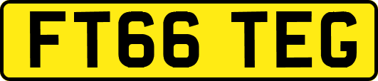 FT66TEG