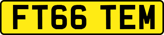 FT66TEM