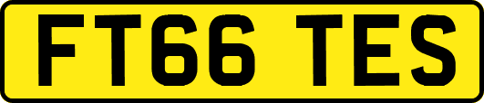 FT66TES