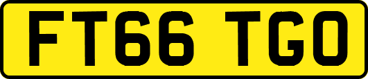 FT66TGO
