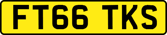 FT66TKS