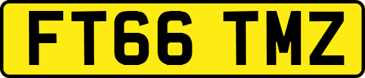 FT66TMZ