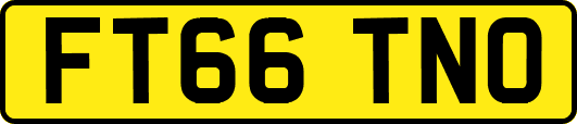 FT66TNO