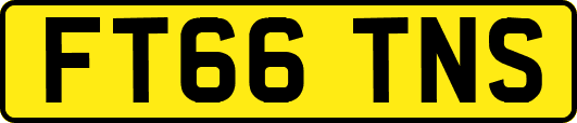 FT66TNS