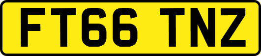 FT66TNZ