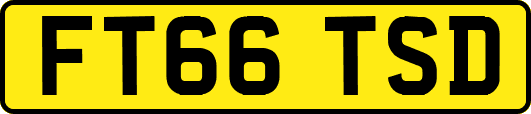 FT66TSD