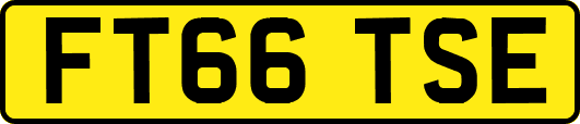 FT66TSE
