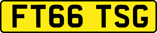 FT66TSG
