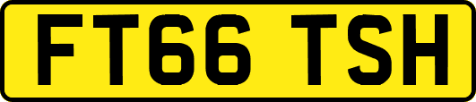 FT66TSH