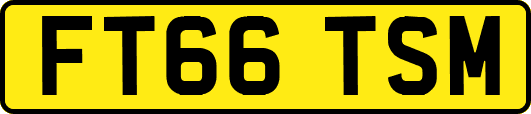 FT66TSM