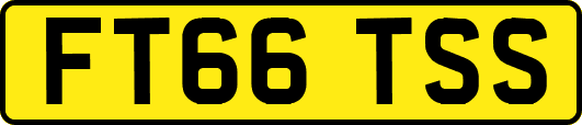 FT66TSS