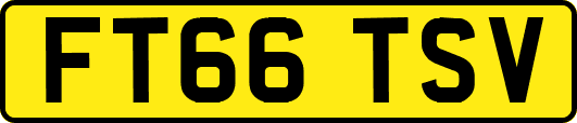 FT66TSV