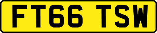 FT66TSW