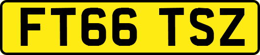 FT66TSZ