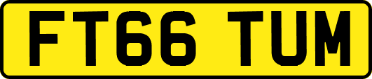 FT66TUM