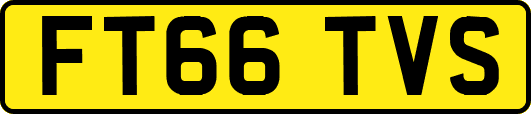 FT66TVS