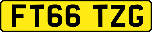FT66TZG