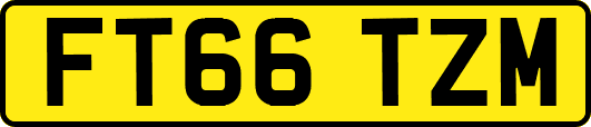 FT66TZM
