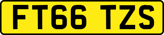 FT66TZS