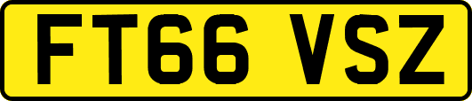 FT66VSZ