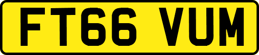 FT66VUM