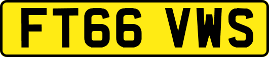 FT66VWS