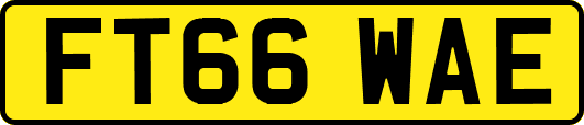 FT66WAE