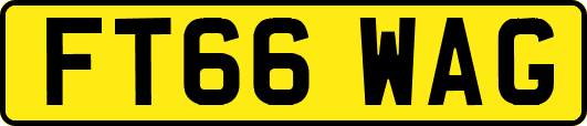 FT66WAG