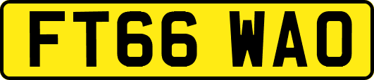 FT66WAO