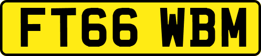 FT66WBM