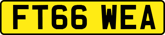 FT66WEA