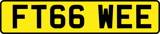 FT66WEE