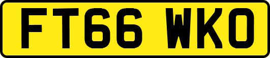 FT66WKO