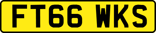 FT66WKS