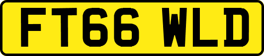 FT66WLD