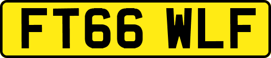 FT66WLF