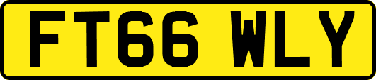 FT66WLY