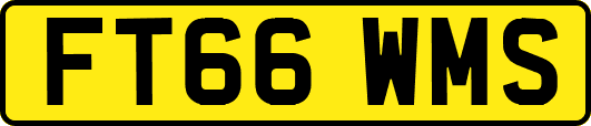 FT66WMS